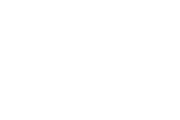 cash icon